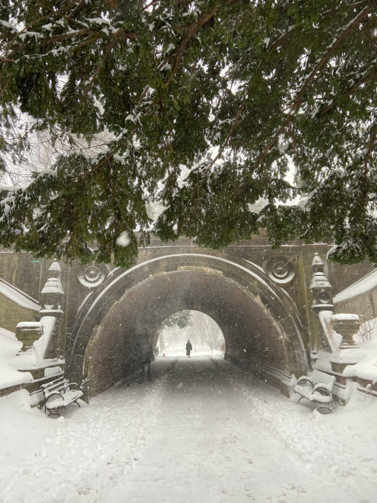 snowy arch